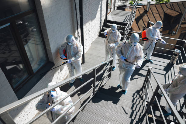 Best Environmental Consulting for Mold Prevention  in Lebanon, KY