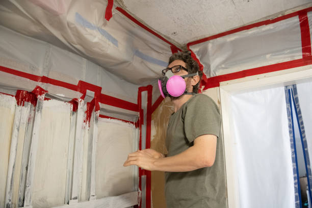 Best Emergency Mold Remediation  in Lebanon, KY
