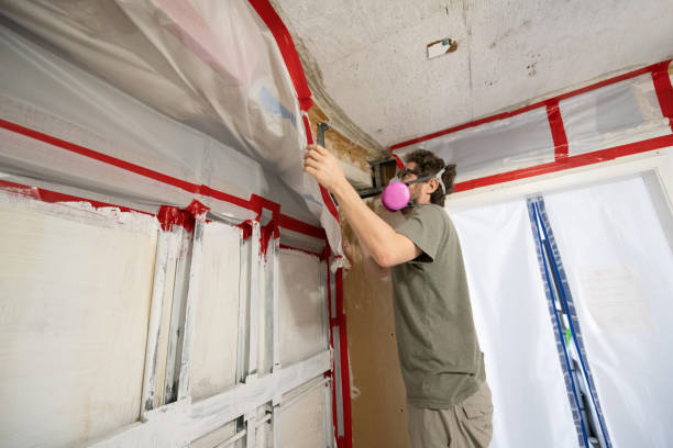Biohazard Mold Removal in Lebanon, KY
