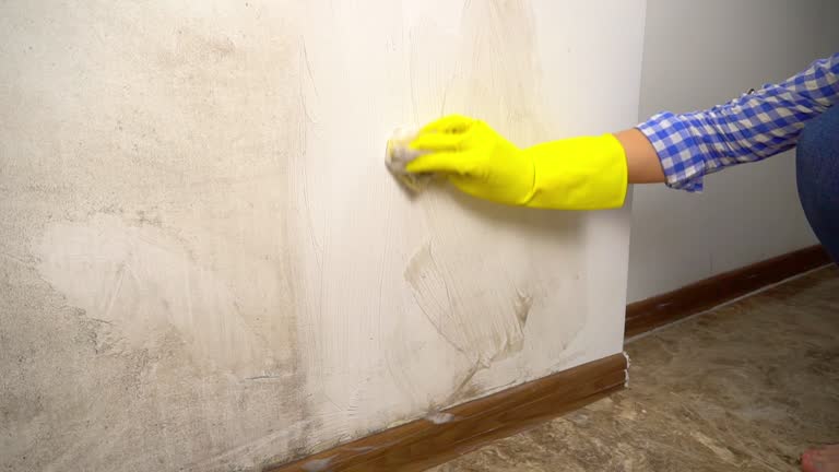 Best Residential Mold Inspection & Testing  in Lebanon, KY