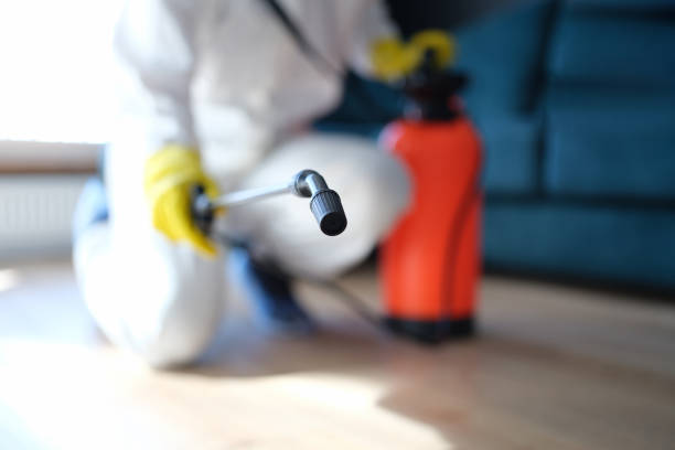Best Mold Removal for HVAC Installations  in Lebanon, KY