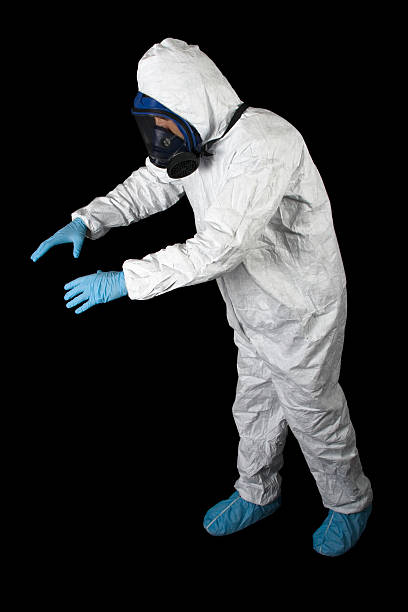 Best Mold Damage Restoration  in Lebanon, KY