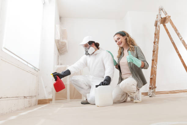 Environmental Consulting for Mold Prevention in Lebanon, KY