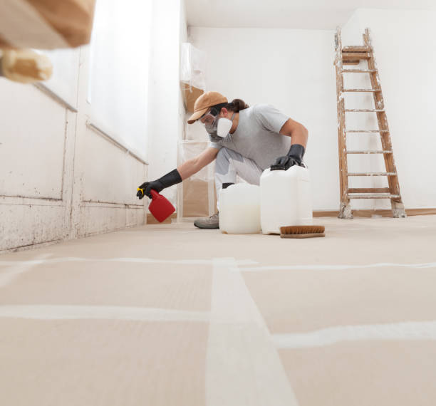 Best Indoor Air Quality Assessment  in Lebanon, KY