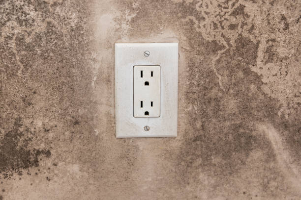 Best Industrial Mold Remediation  in Lebanon, KY